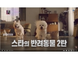 연예인과 함께 지내는 반려동물 (차트를 달리는 여자 2부), KBS 210108 방송